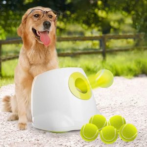 ALL FOR PAWS Automatic Dog Ball Launcher